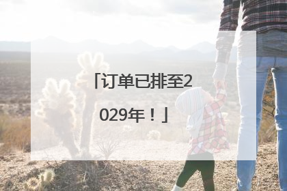 订单已排至2029年！