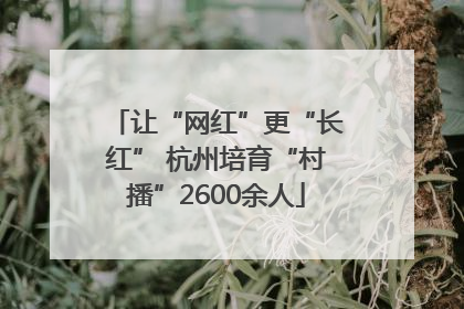 让“网红”更“长红” 杭州培育“村播”2600余人