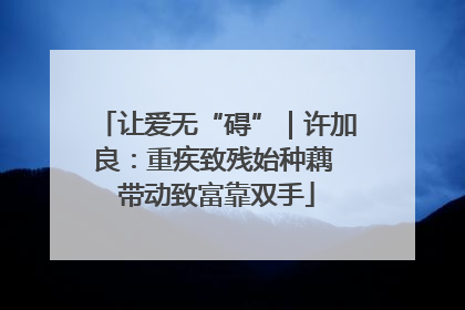 让爱无“碍”｜许加良：重疾致残始种藕 带动致富靠双手