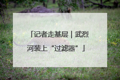 记者走基层｜武烈河装上“过滤器”
