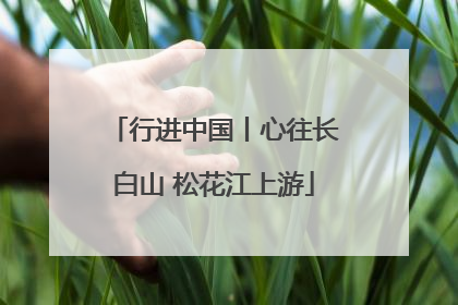 行进中国丨心往长白山 松花江上游