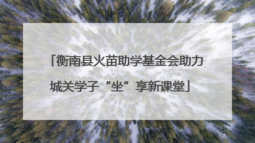 衡南县火苗助学基金会助力城关学子“坐”享新课堂