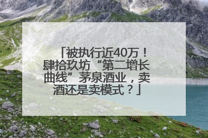 被执行近40万！肆拾玖坊“第二增长曲线”茅泉酒业，卖酒还是卖模式？