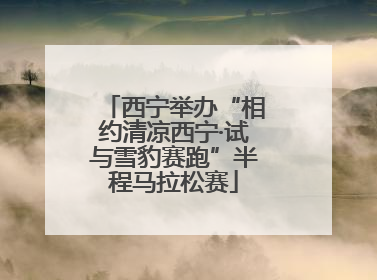 西宁举办“相约清凉西宁·试与雪豹赛跑”半程马拉松赛