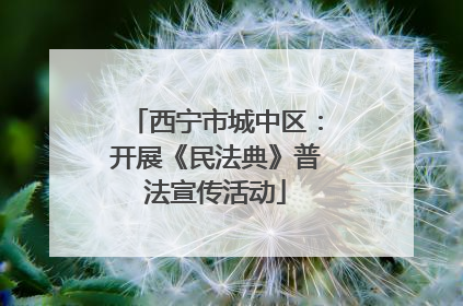 西宁市城中区：开展《民法典》普法宣传活动