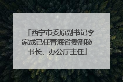 西宁市委原副书记李家成已任青海省委副秘书长、办公厅主任