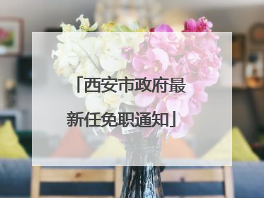 西安市政府最新任免职通知