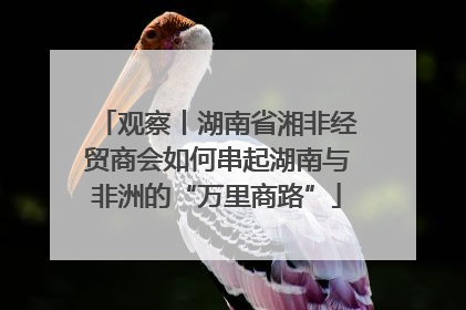 观察丨湖南省湘非经贸商会如何串起湖南与非洲的“万里商路”