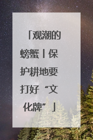 观潮的螃蟹丨保护耕地要打好“文化牌”