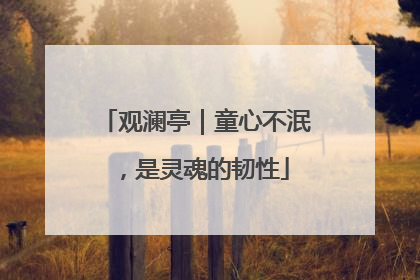 观澜亭｜童心不泯，是灵魂的韧性