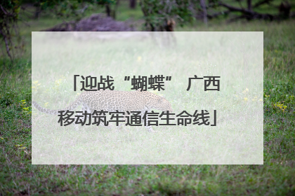 迎战“蝴蝶” 广西移动筑牢通信生命线