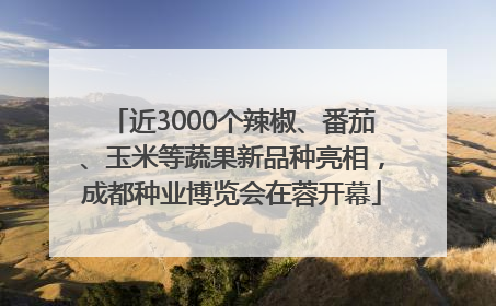 近3000个辣椒、番茄、玉米等蔬果新品种亮相，成都种业博览会在蓉开幕