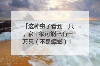 这种虫子看到一只，家里很可能已有一万只（不是蟑螂）