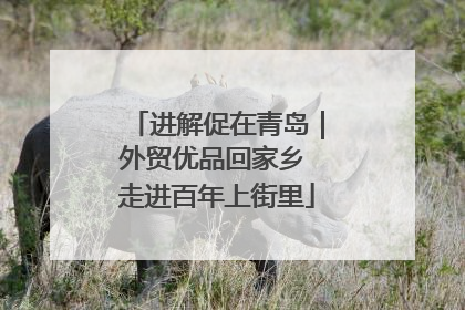 进解促在青岛｜外贸优品回家乡 走进百年上街里