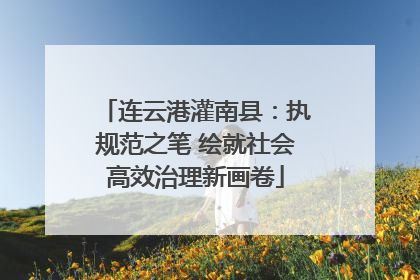 连云港灌南县：执规范之笔 绘就社会高效治理新画卷