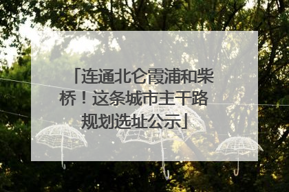 连通北仑霞浦和柴桥！这条城市主干路规划选址公示