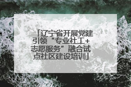 辽宁省开展党建引领“专业社工+志愿服务”融合试点社区建设培训