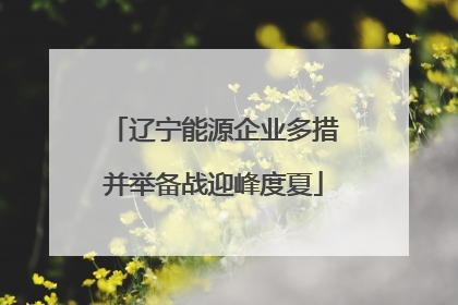 辽宁能源企业多措并举备战迎峰度夏