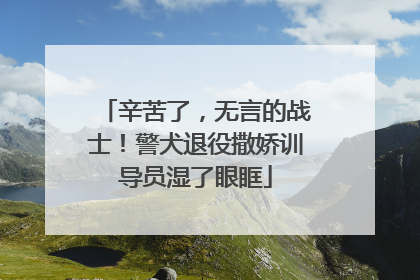 辛苦了，无言的战士！警犬退役撒娇训导员湿了眼眶