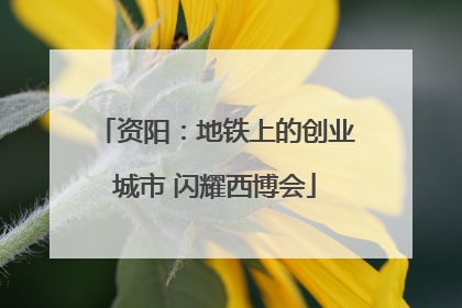资阳：地铁上的创业城市 闪耀西博会