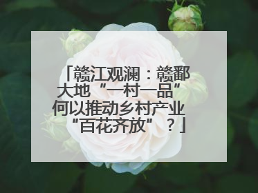赣江观澜：赣鄱大地“一村一品”何以推动乡村产业“百花齐放”？