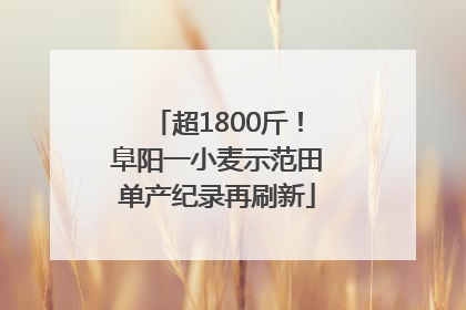 超1800斤！阜阳一小麦示范田单产纪录再刷新