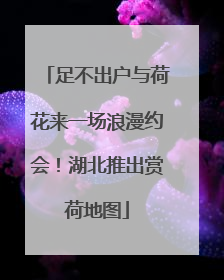 足不出户与荷花来一场浪漫约会！湖北推出赏荷地图