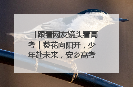 跟着网友镜头看高考｜葵花向阳开，少年赴未来，安乡高考首日的希望图景