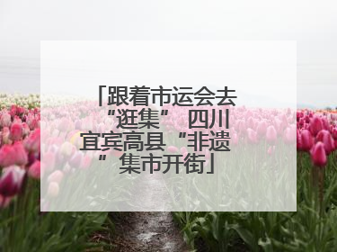 跟着市运会去“逛集” 四川宜宾高县“非遗”集市开街