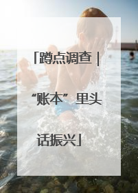 蹲点调查｜“账本”里头话振兴
