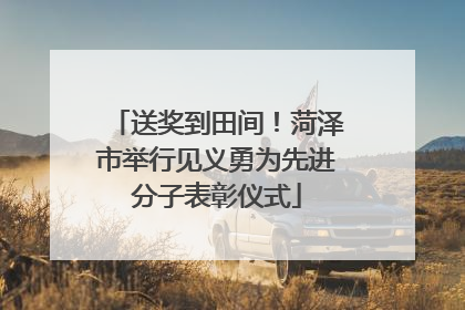 送奖到田间！菏泽市举行见义勇为先进分子表彰仪式