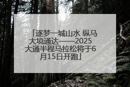 逐梦一城山水 纵马大境通达——2025大通半程马拉松将于6月15日开跑