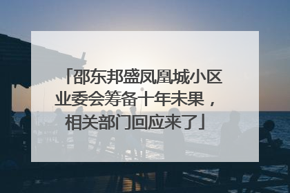 邵东邦盛凤凰城小区业委会筹备十年未果，相关部门回应来了
