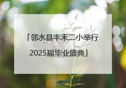 邻水县丰禾二小举行2025届毕业盛典