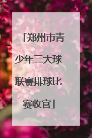 郑州市青少年三大球联赛排球比赛收官