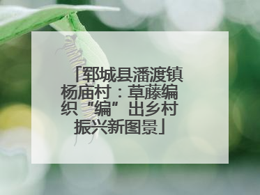 郓城县潘渡镇杨庙村：草藤编织“编”出乡村振兴新图景
