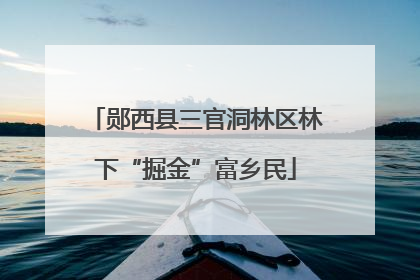 郧西县三官洞林区林下“掘金”富乡民