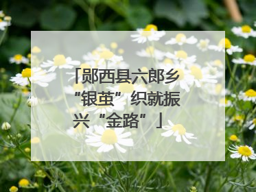 郧西县六郎乡“银茧”织就振兴“金路”