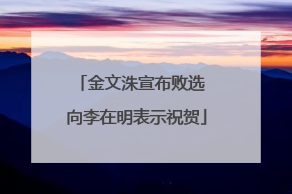 金文洙宣布败选 向李在明表示祝贺