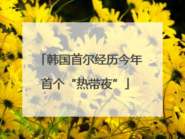 韩国首尔经历今年首个“热带夜”