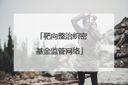 靶向整治织密基金监管网络