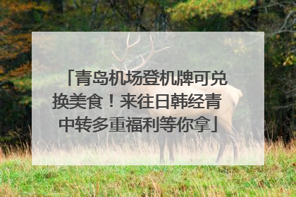青岛机场登机牌可兑换美食！来往日韩经青中转多重福利等你拿