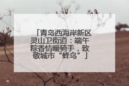 青岛西海岸新区灵山卫街道：端午粽香情暖骑手，致敬城市“蜂鸟”