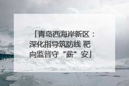 青岛西海岸新区：深化指导筑防线 靶向监督守“薪”安