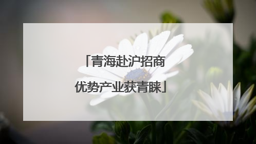 青海赴沪招商 优势产业获青睐