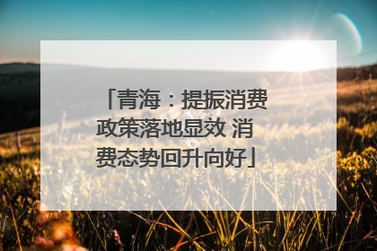 青海：提振消费政策落地显效 消费态势回升向好