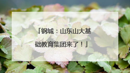 钢城：山东山大基础教育集团来了！