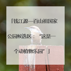 钱江源—百山祖国家公园候选区：“这是一个动植物乐园”
