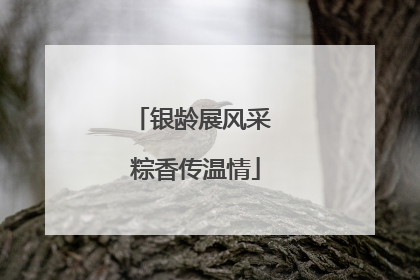 银龄展风采 粽香传温情