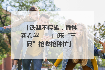 铁犁不停歇，播种新希望——山东“三夏”抢收抢种忙